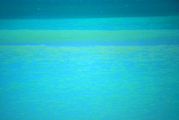 Photography WELLEN, artist BINA WARWIK, www.young-art-gallery.com
